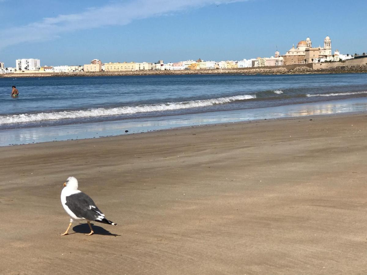 Molineros Victoria Beach Cádiz Exteriör bild